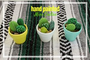 Petits cactus en galets